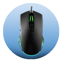 mouse-27-07-22