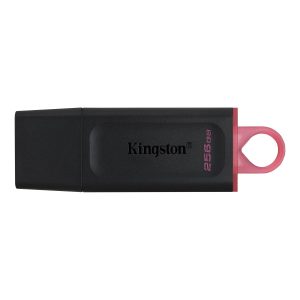 Kingston DataTraveler Exodia 256GB USB 3.2 Gen 1 PenDrive-1