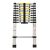 Gobbler GB-TL10 2.9 Meters Telescopic Ladder