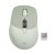 iBall GLIDR S300 Wireless Mouse – Sage Green
